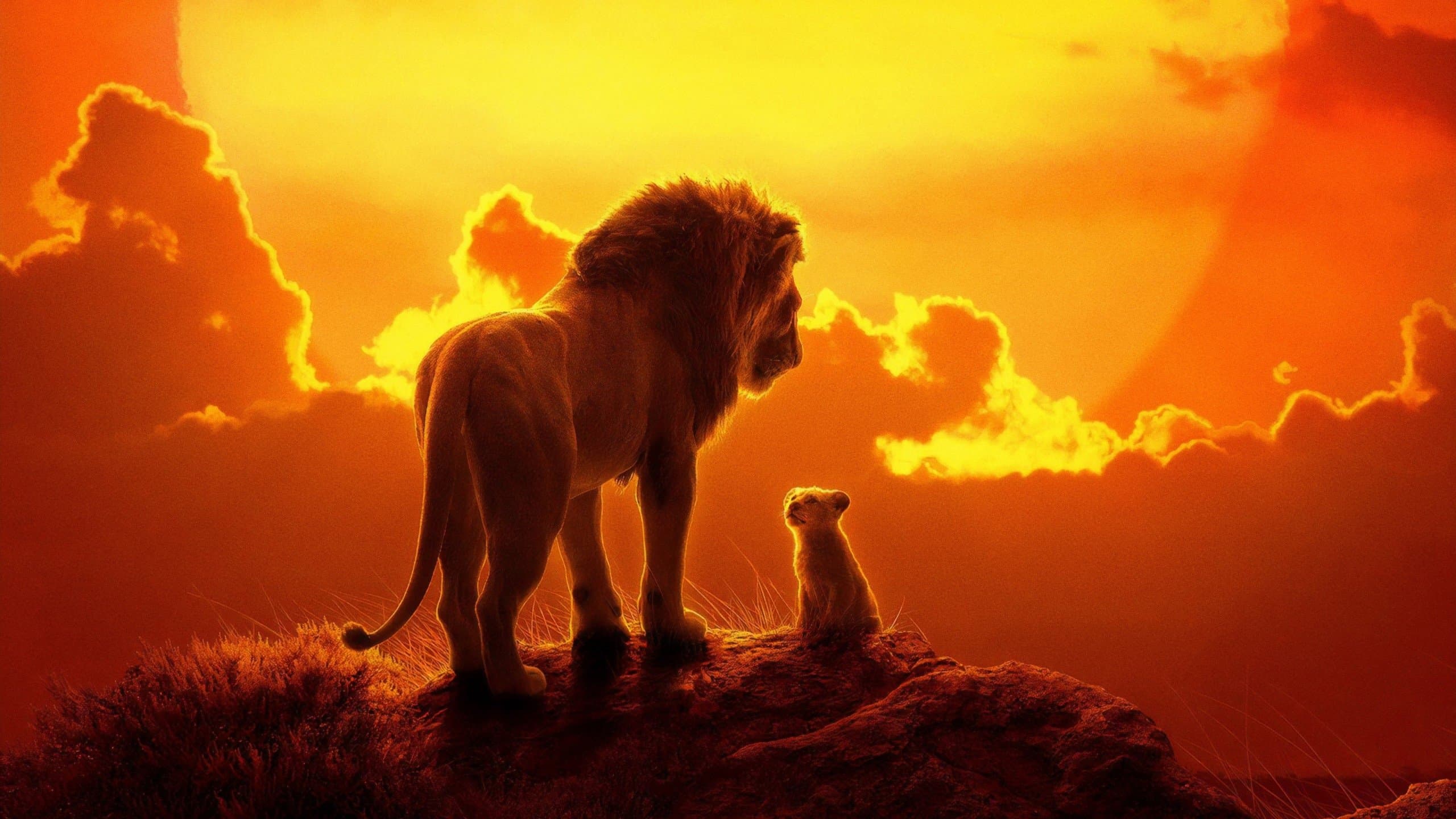 The Lion King (Reboot) Collection