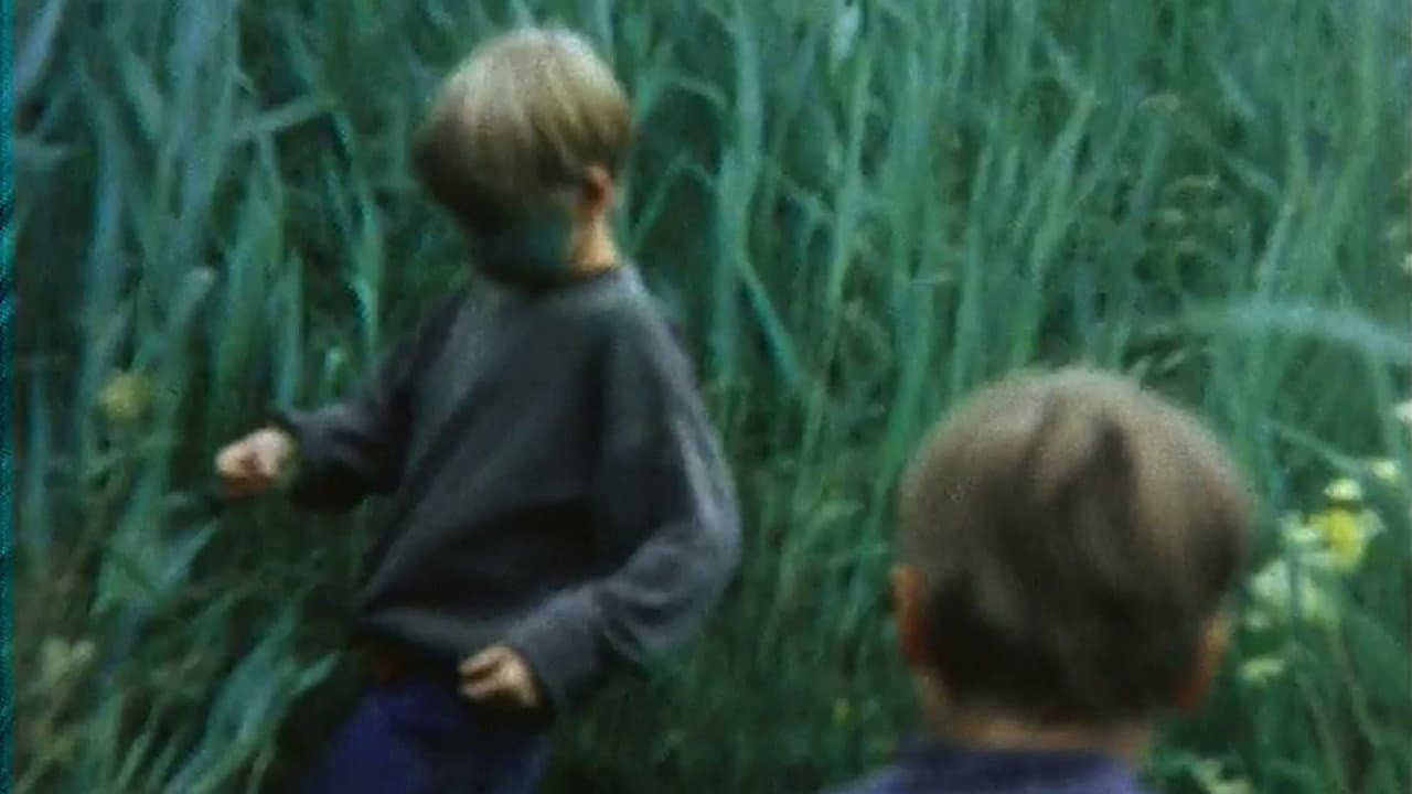 Das fliegende Bild