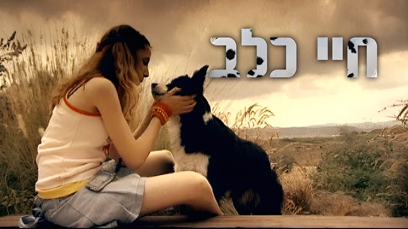 חיי כלב