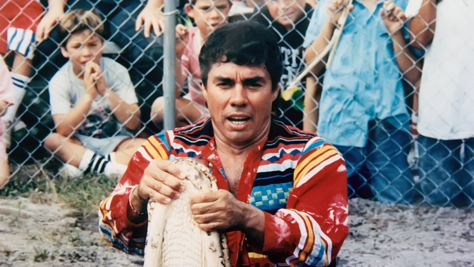 Wrestling Alligators