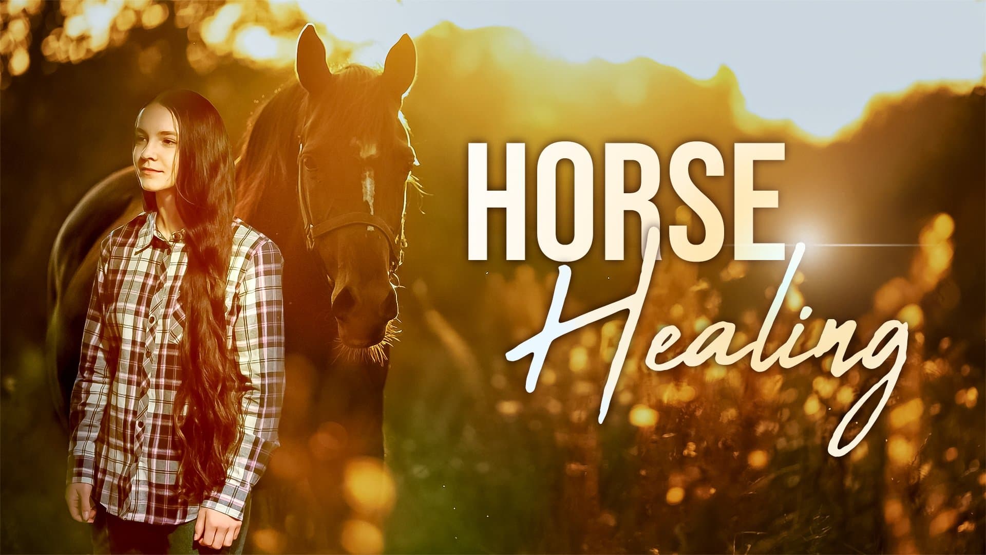 Horse Healing