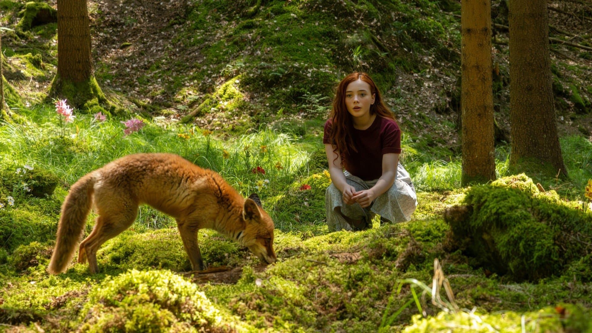 Ein Mädchen namens Willow Filmreihe