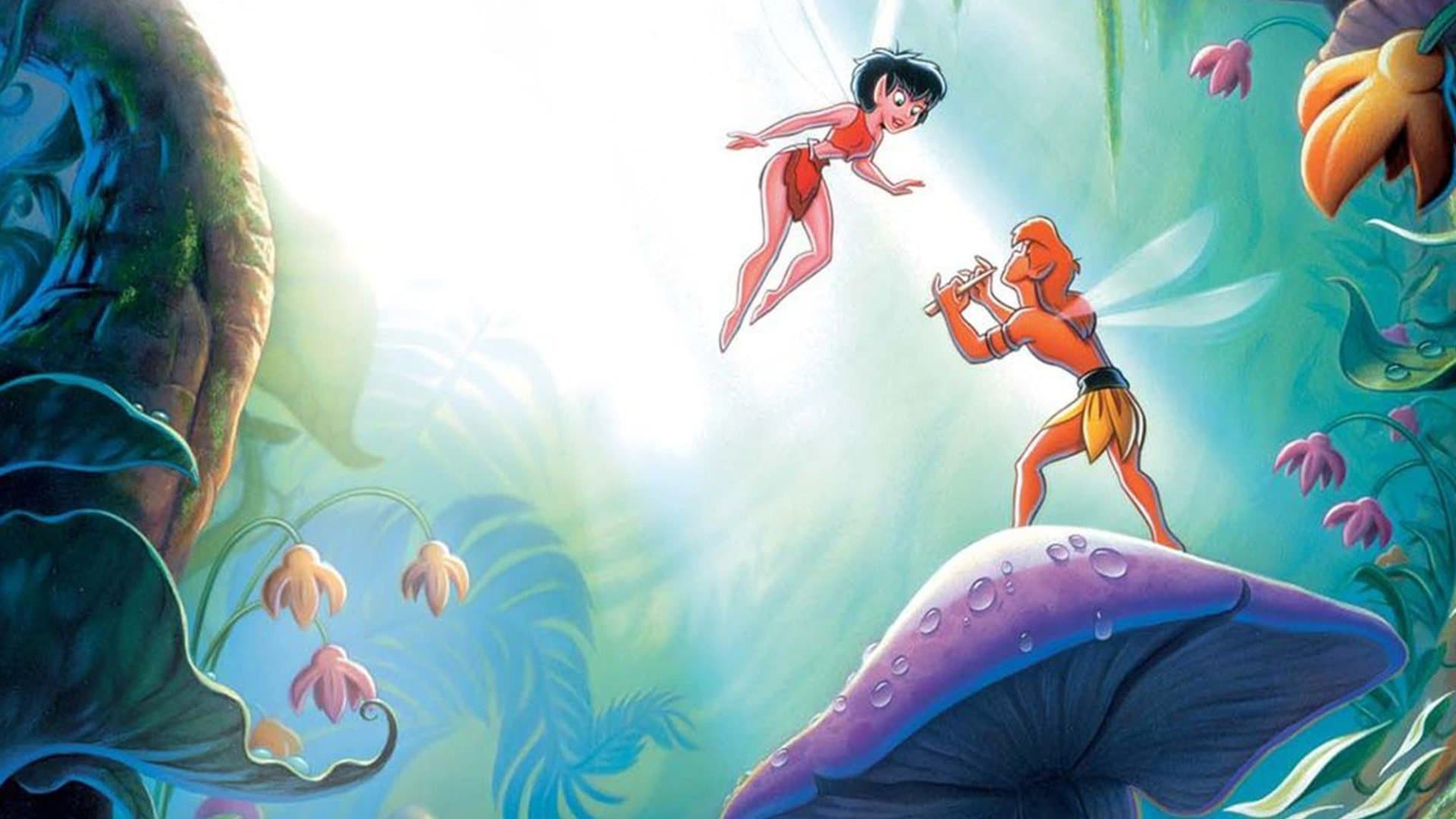 FernGully Collection