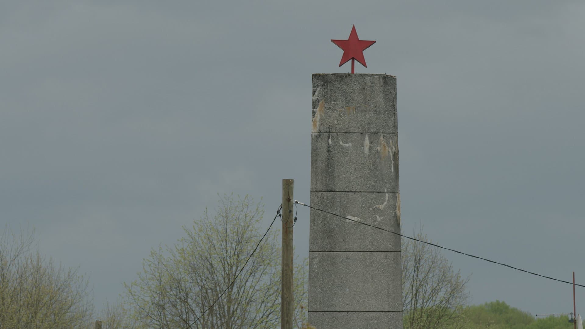 Šume šume