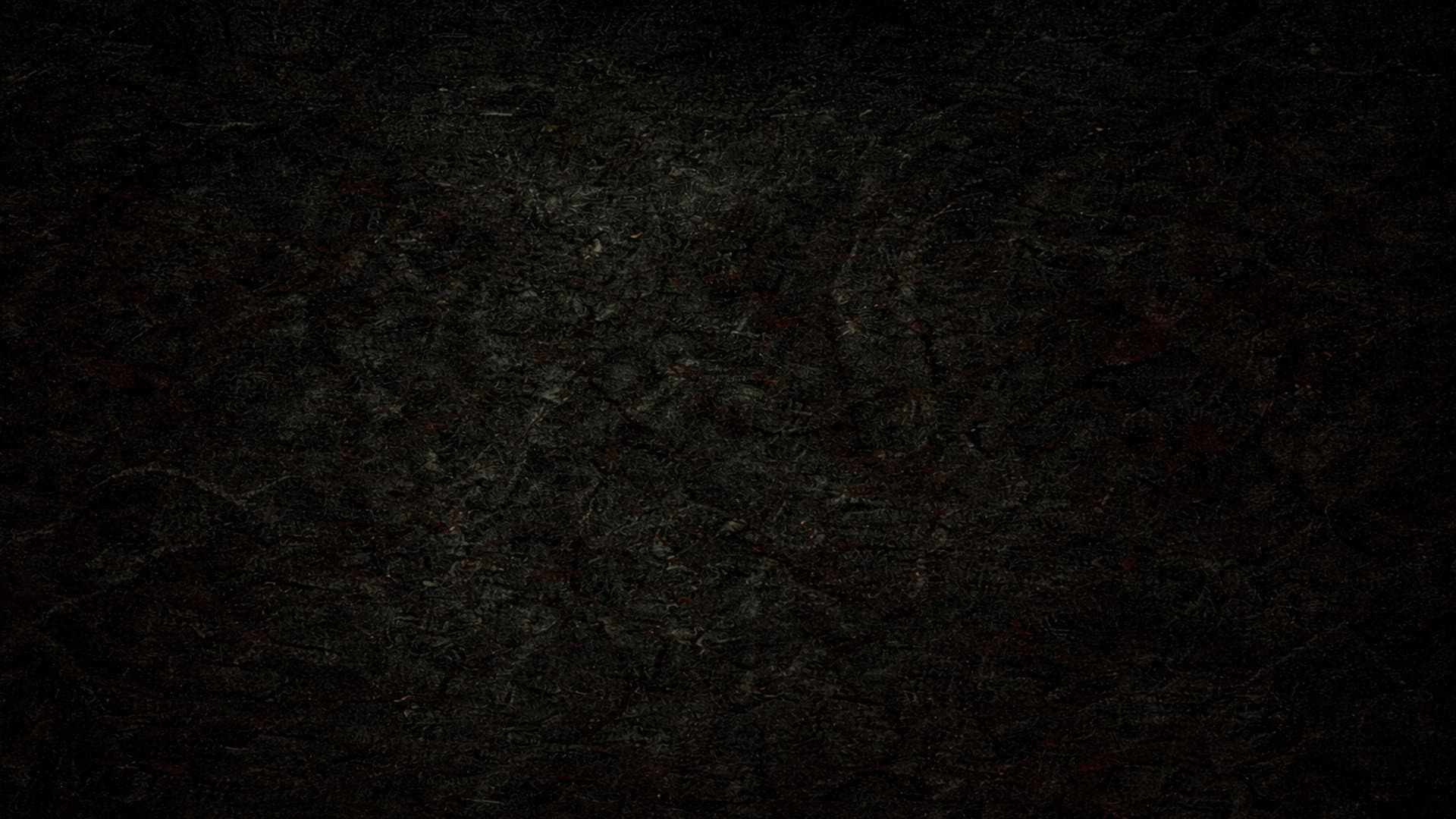 CONTAINMENT