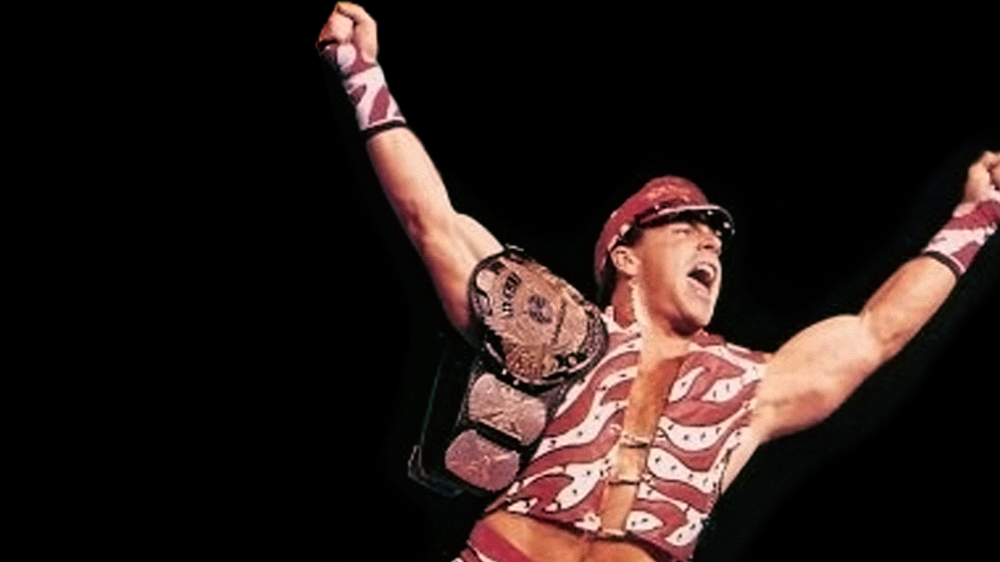 WWE SummerSlam 1996