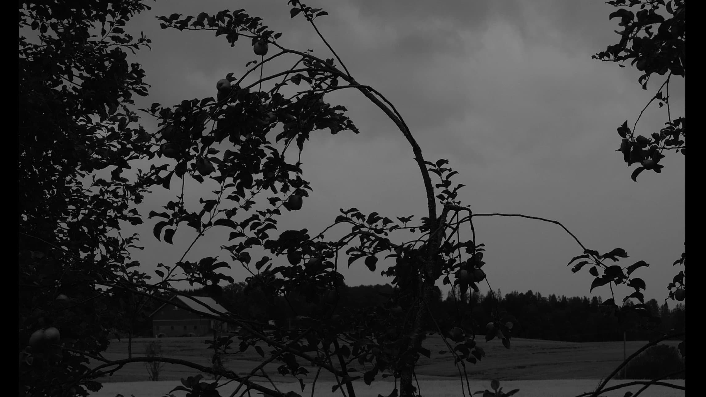 Dasein