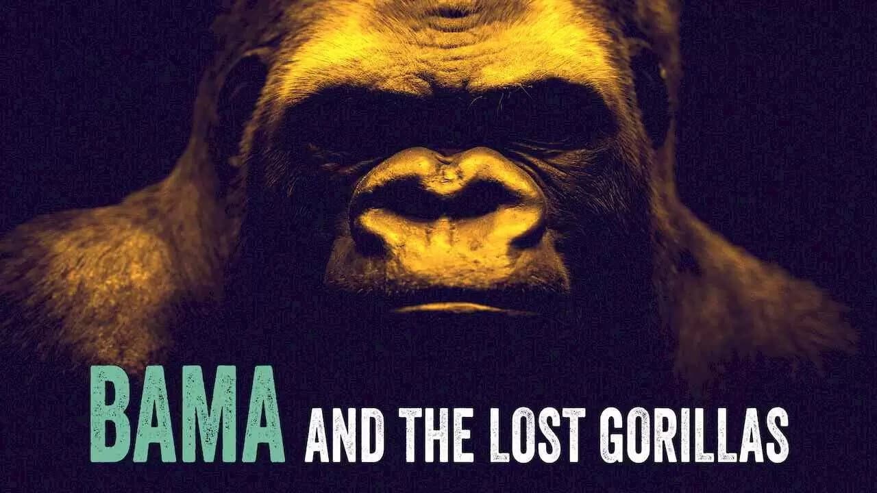 Bama, der Gorillamann - Abenteuer in Kamerun