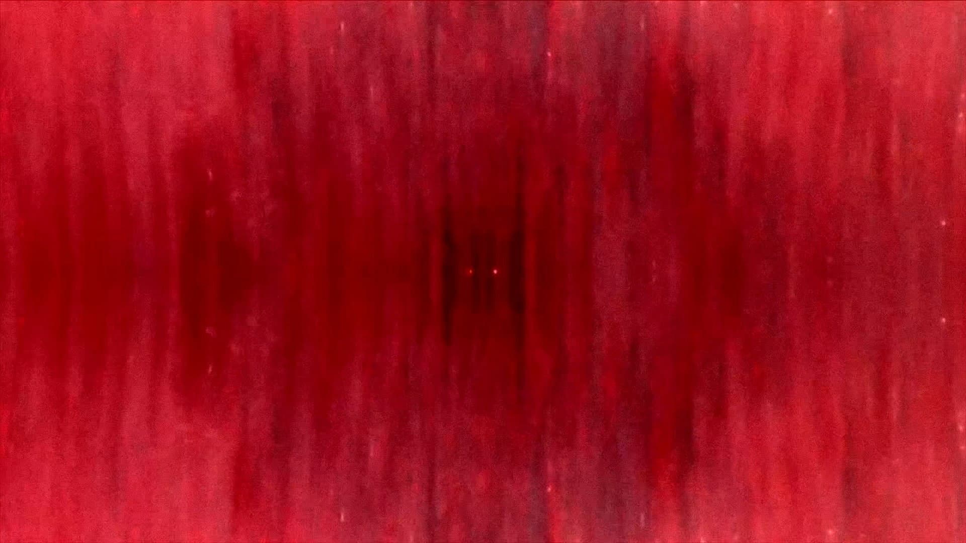 Form Of Void / Ruin Of Time
