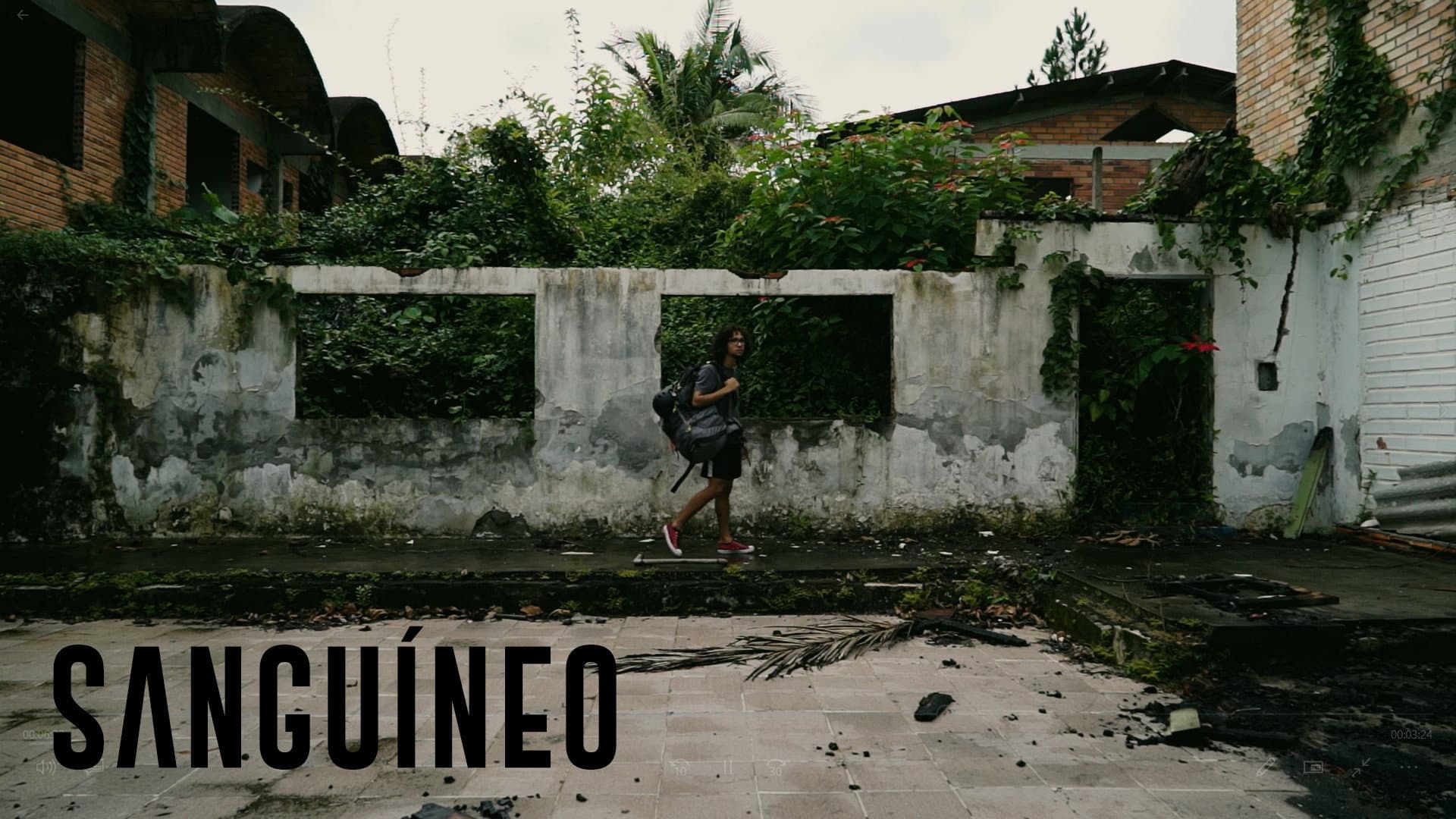 Sanguíneo