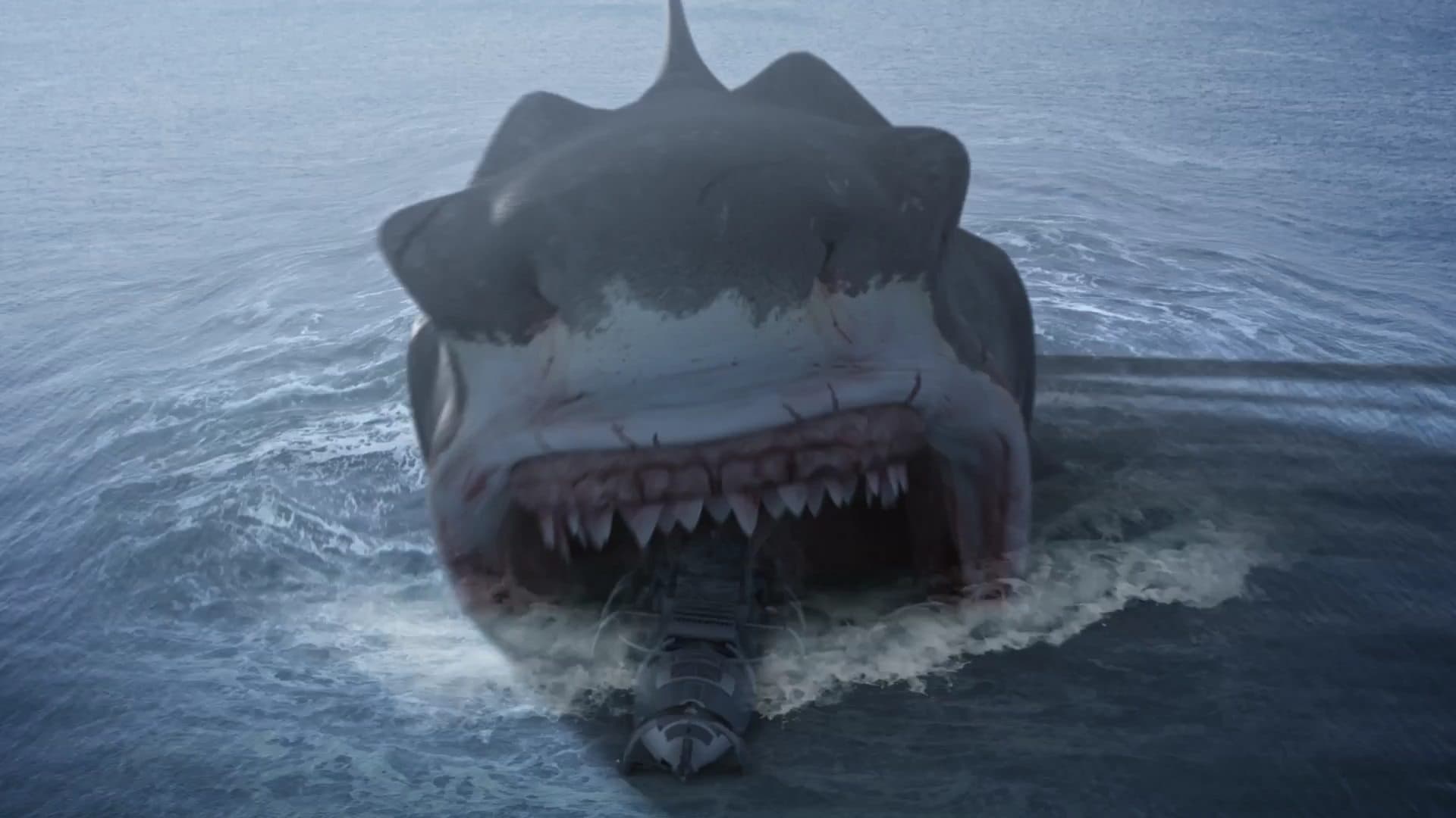 Megalodon Collection