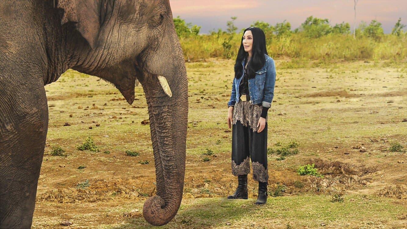 Cher y el elefante más solitario