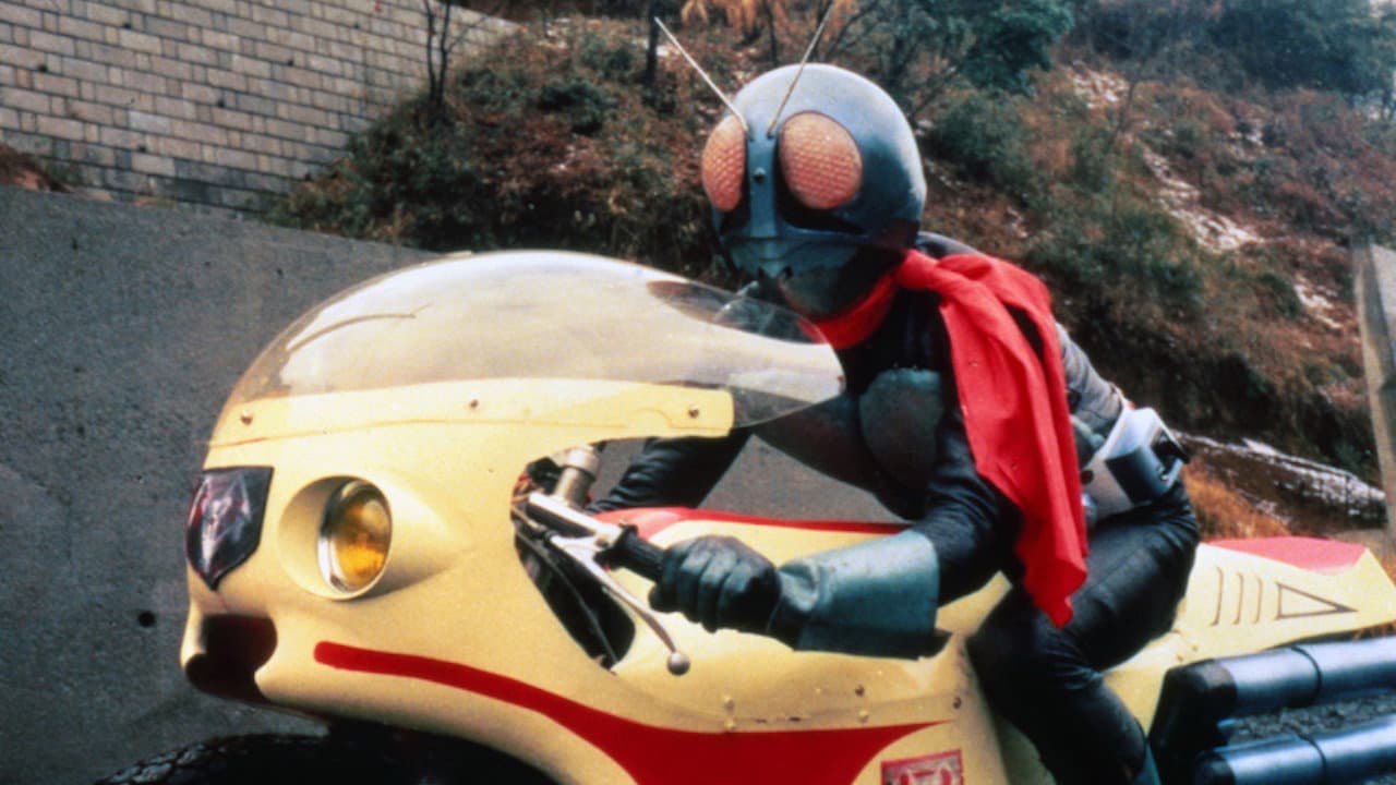 ゴーゴー仮面ライダー