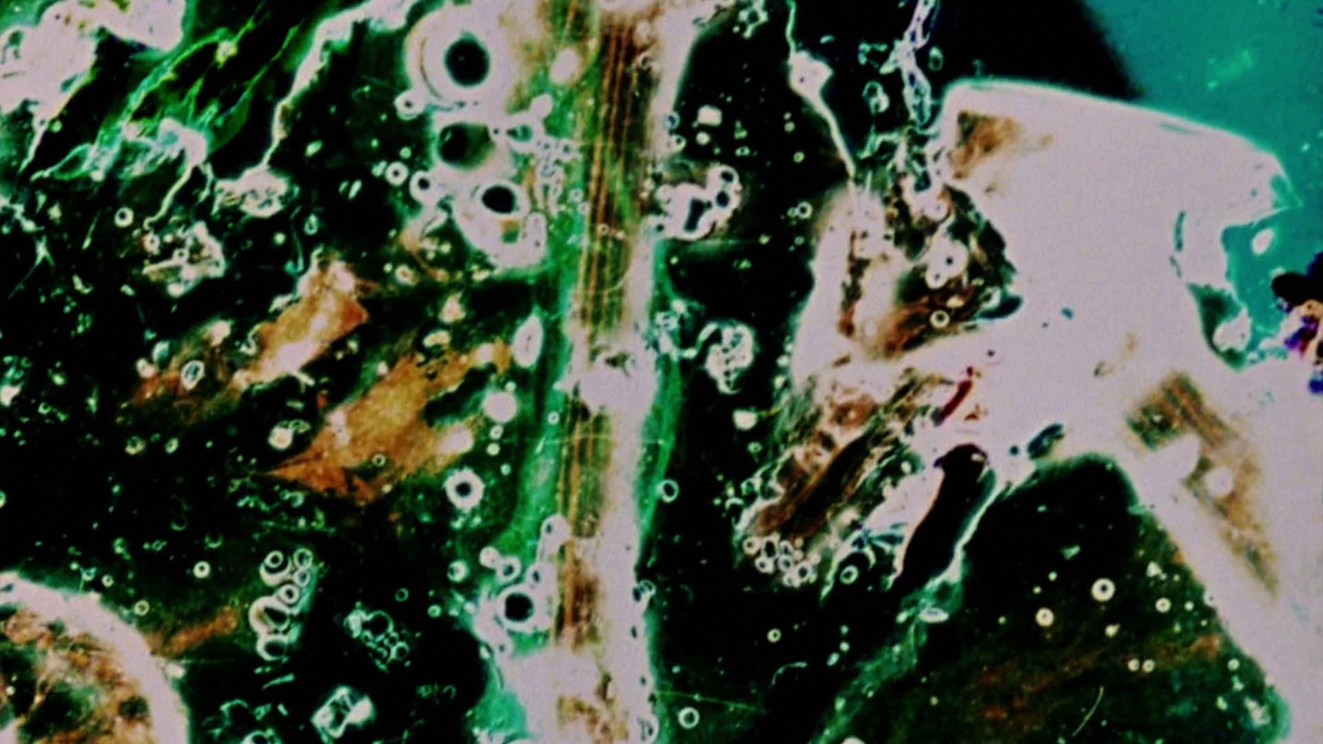 Delicacies of Molten Horror Synapse
