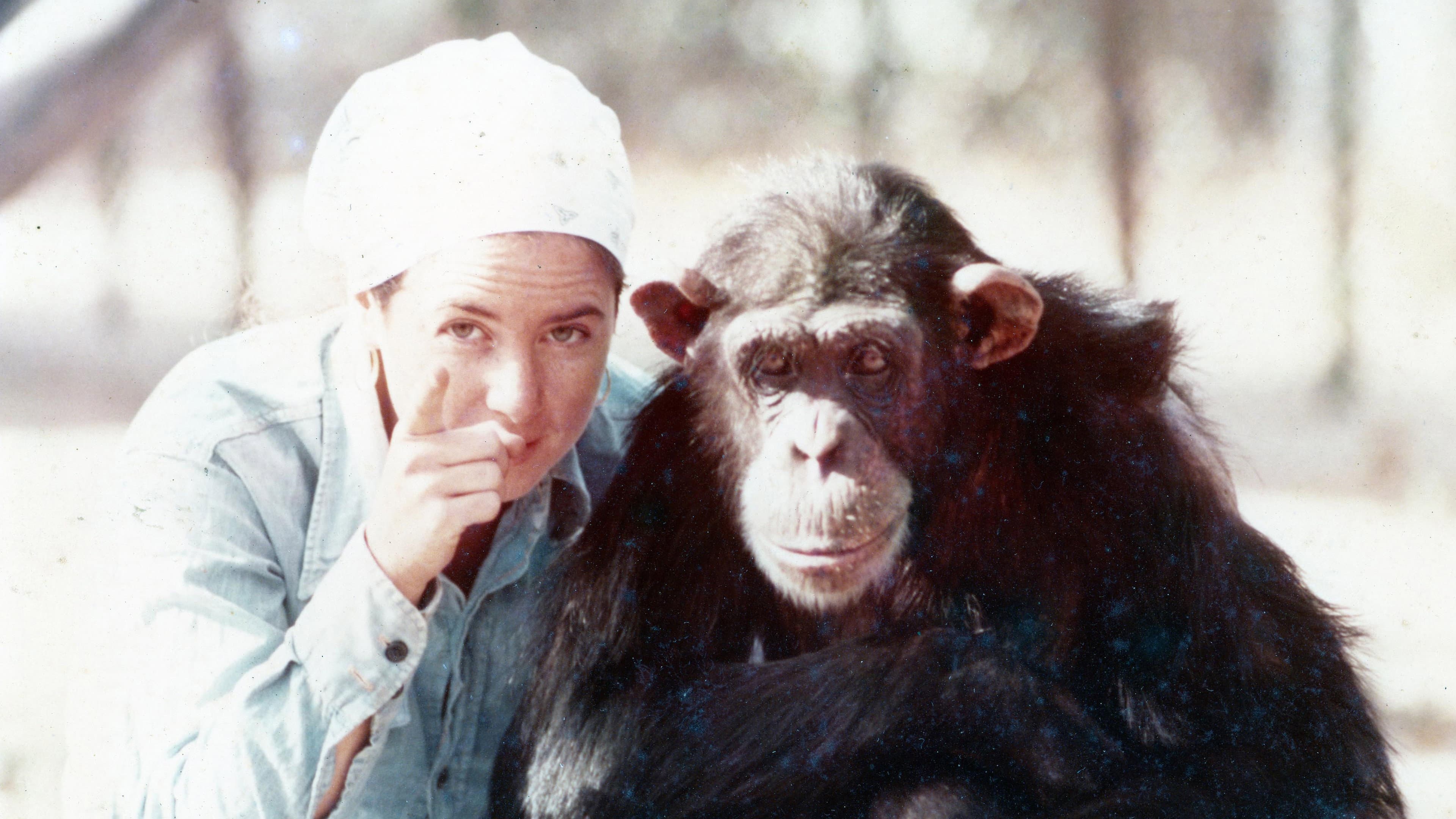 Lucy, el chimpancé humano