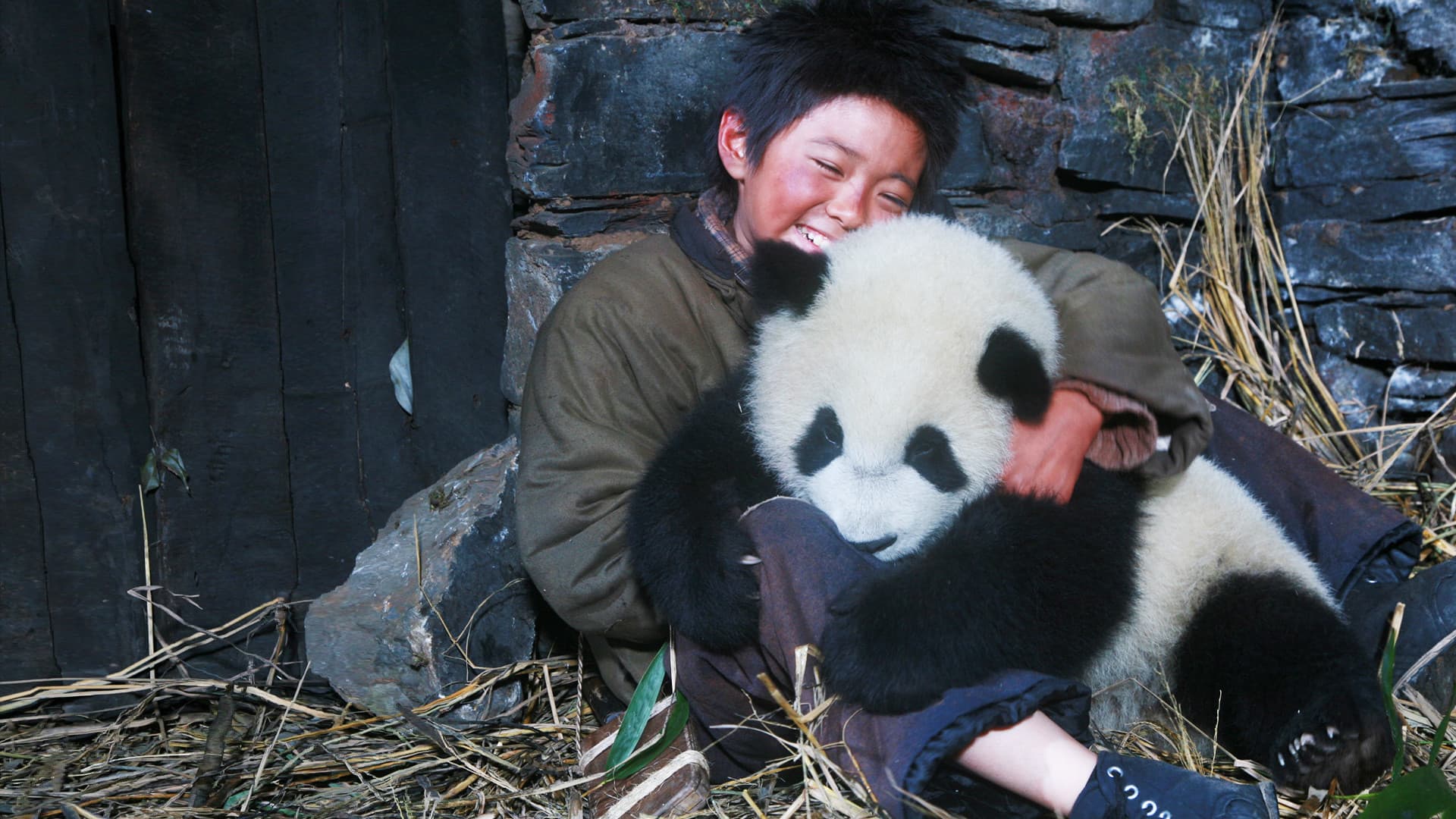 El Camino del Panda
