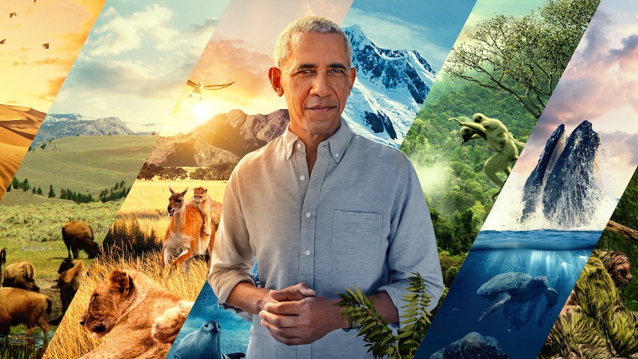 Nuestros grandiosos parques nacionales