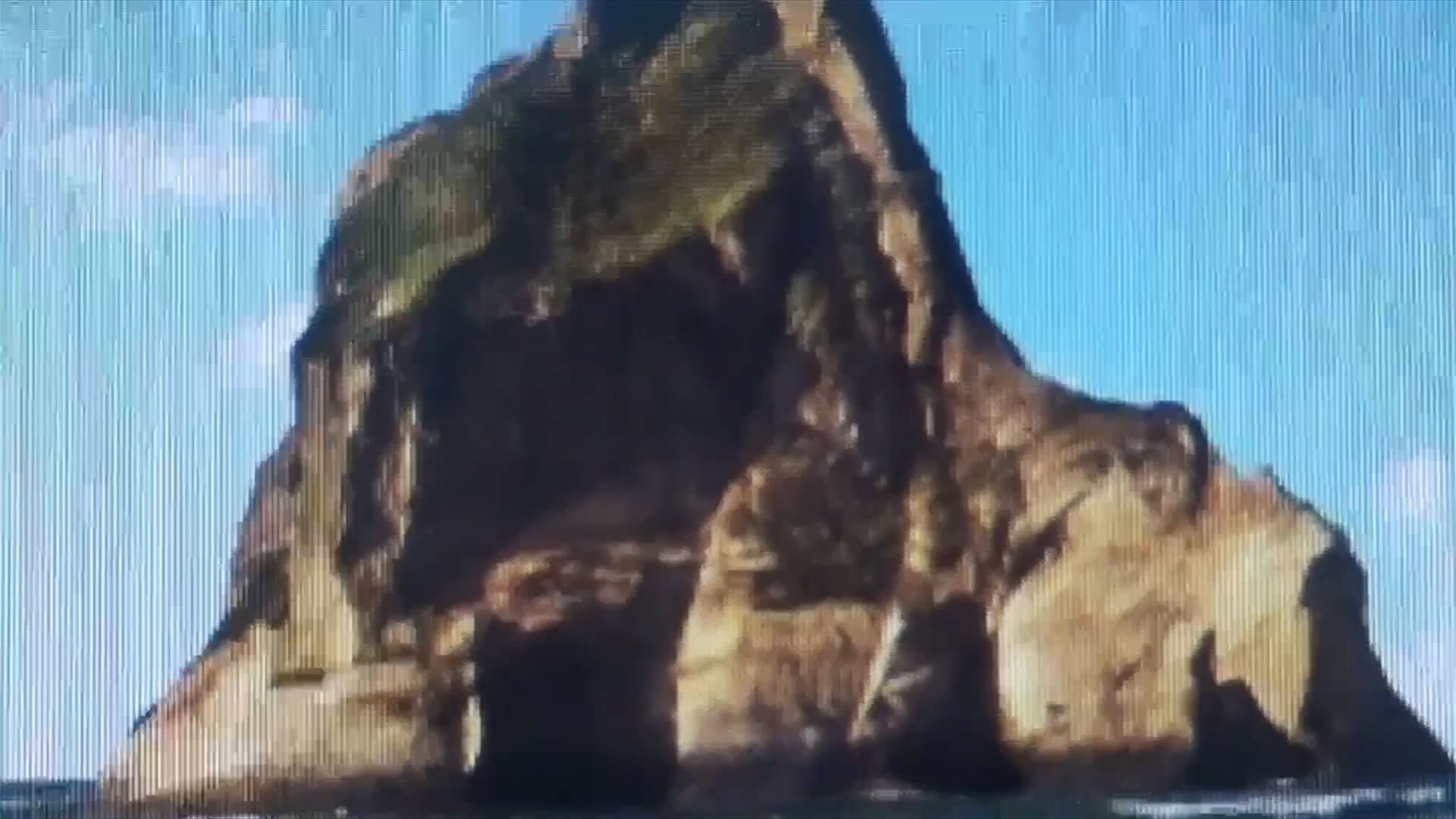 非如此不可