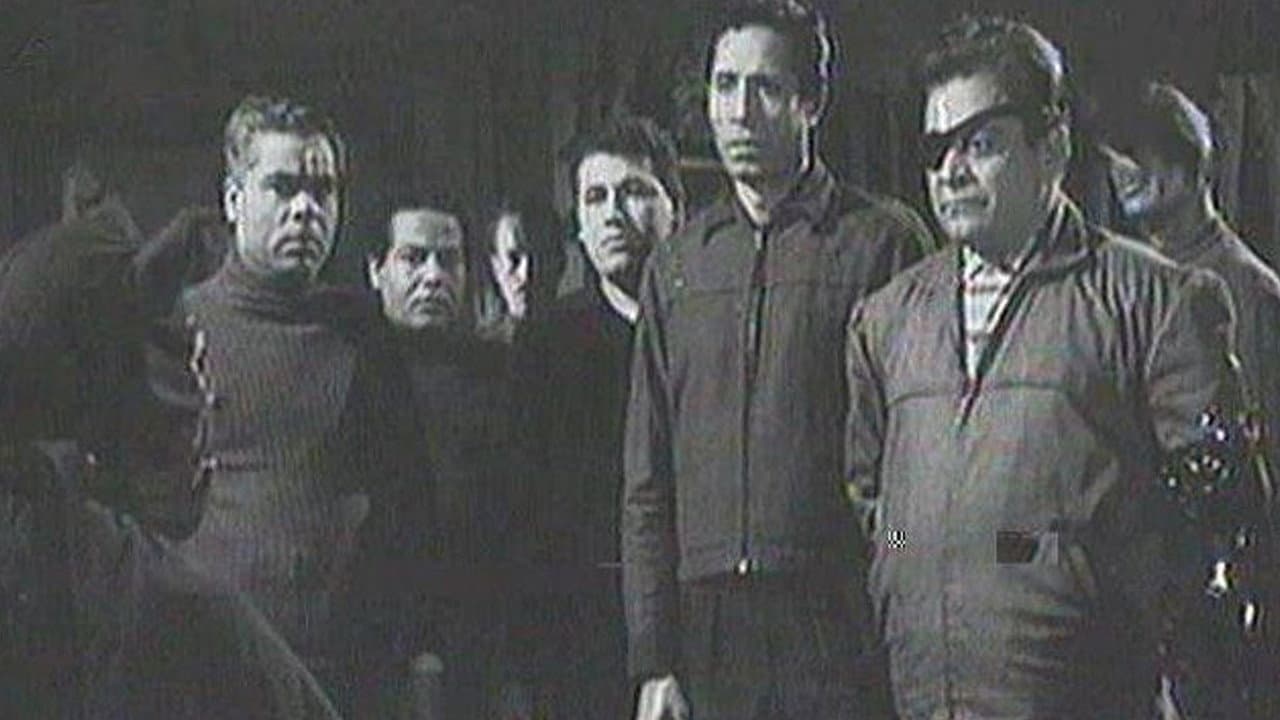القط الأسود
