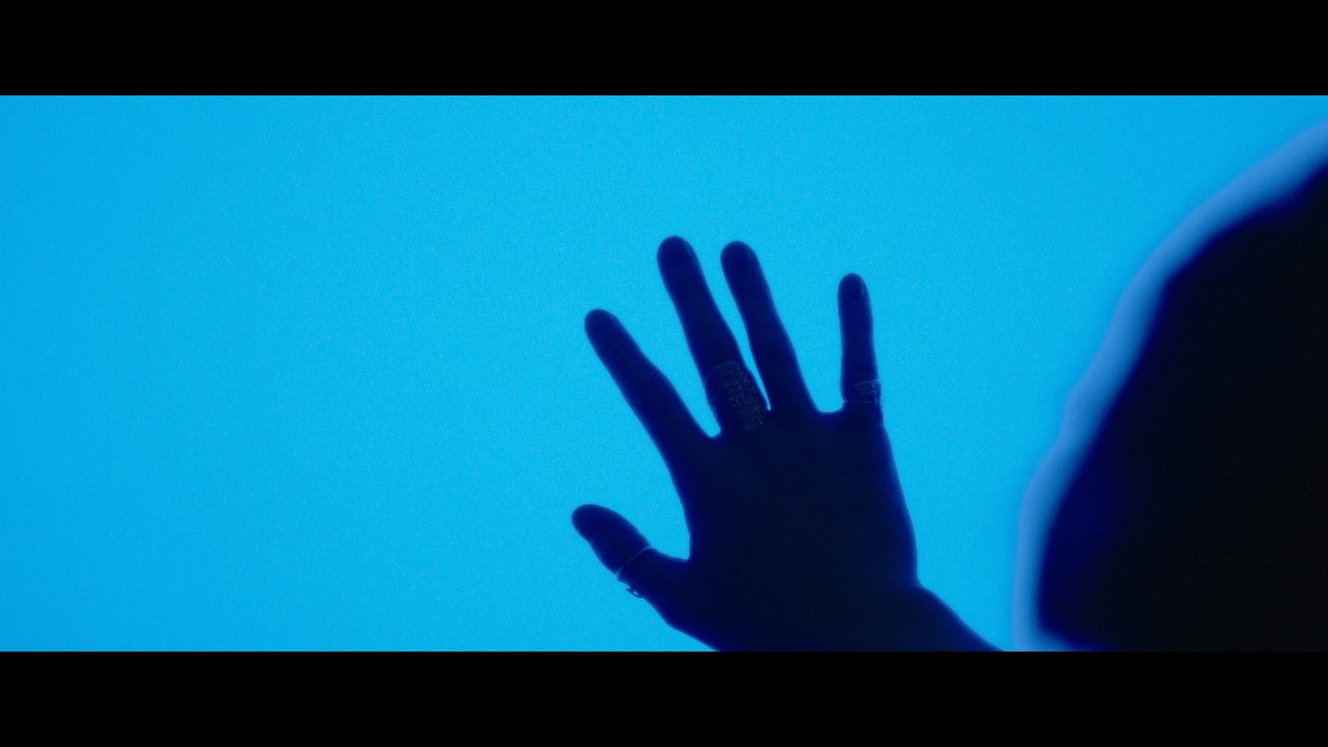 Lucid