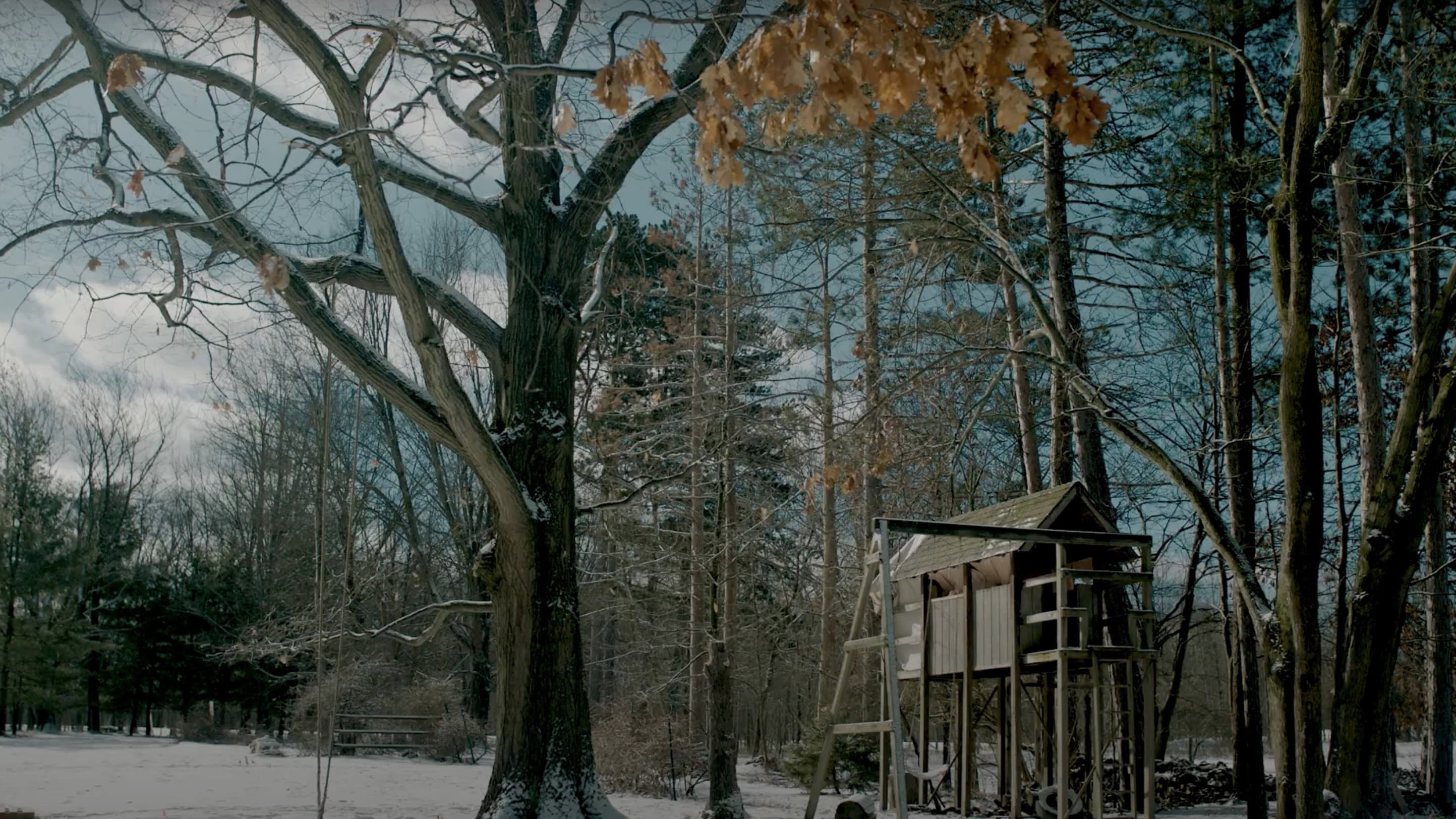 Treehouse
