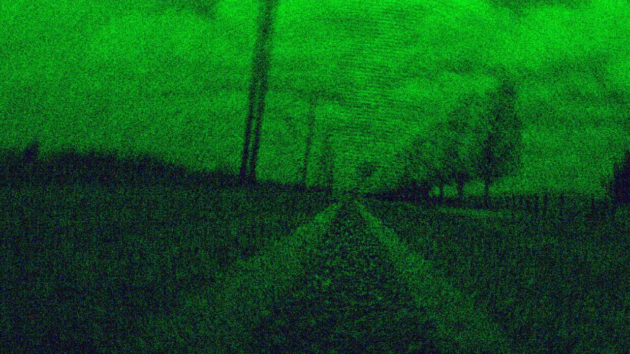 VHS Roadkill