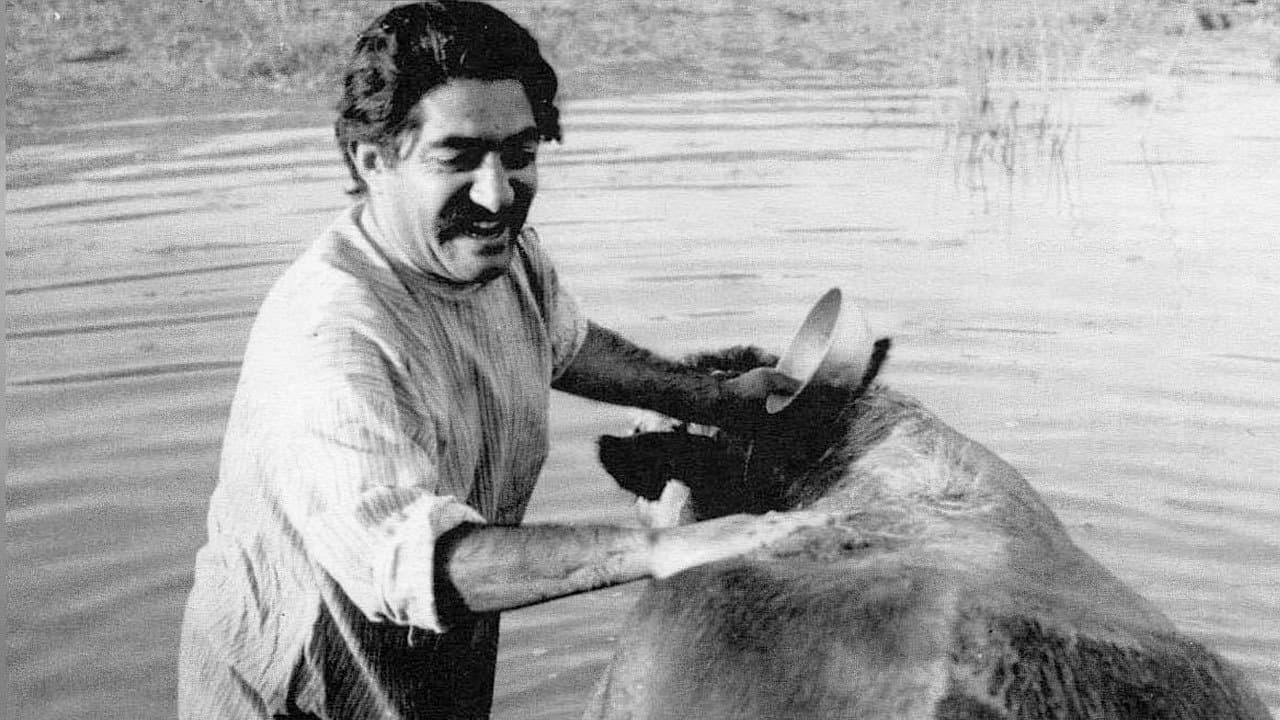 La vaca
