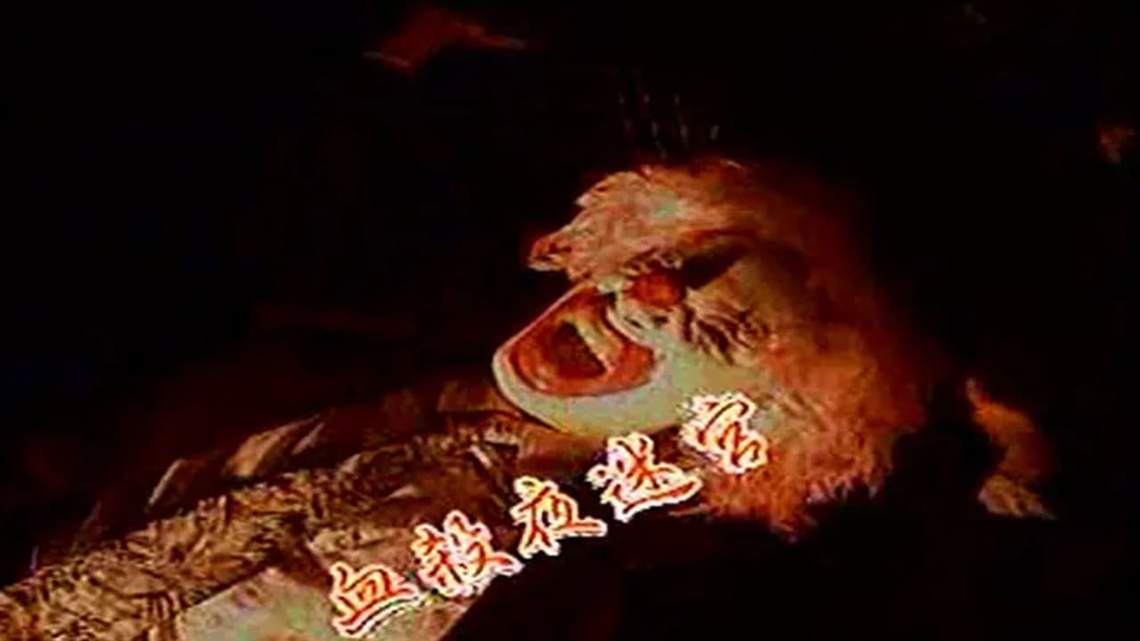血杀夜迷宫