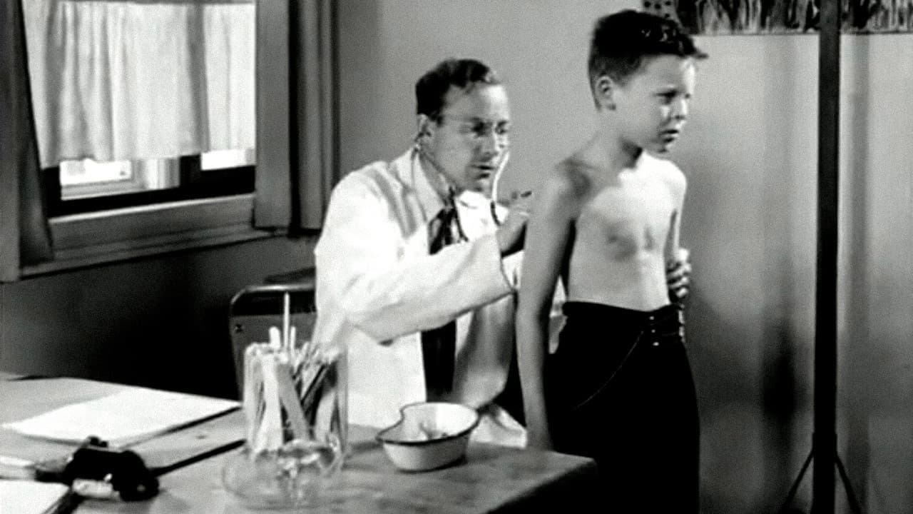 Oslofilm: Sommerparadiset