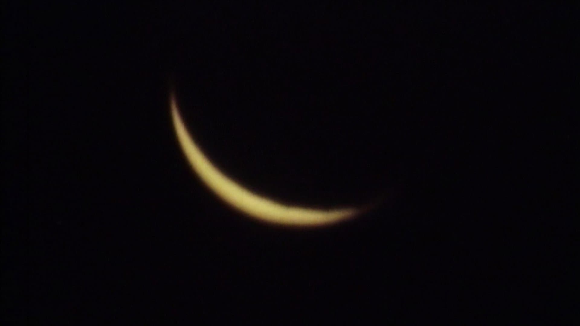 The Moon