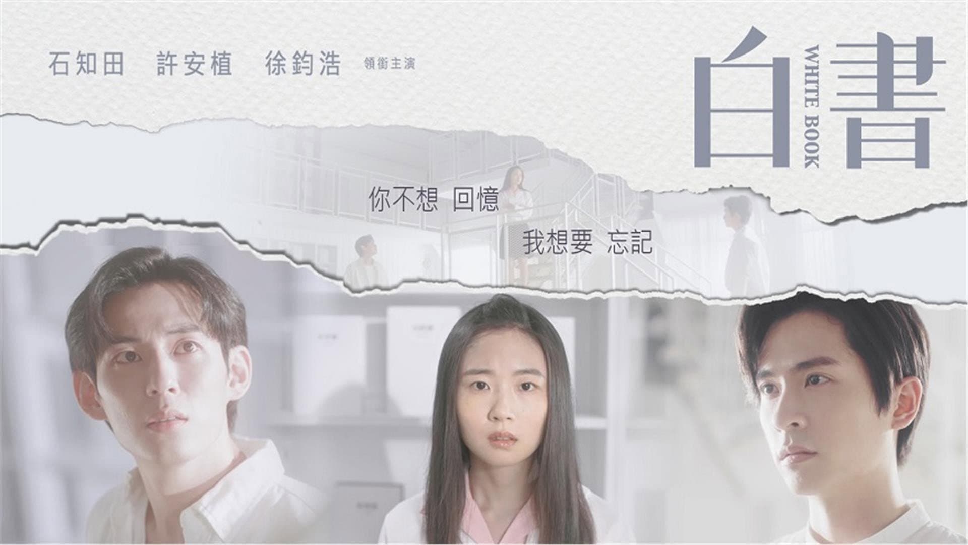 白書