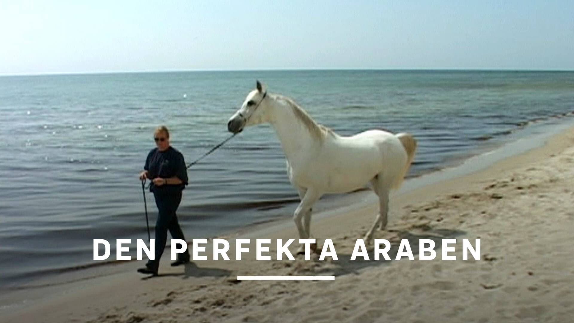 Den perfekta araben