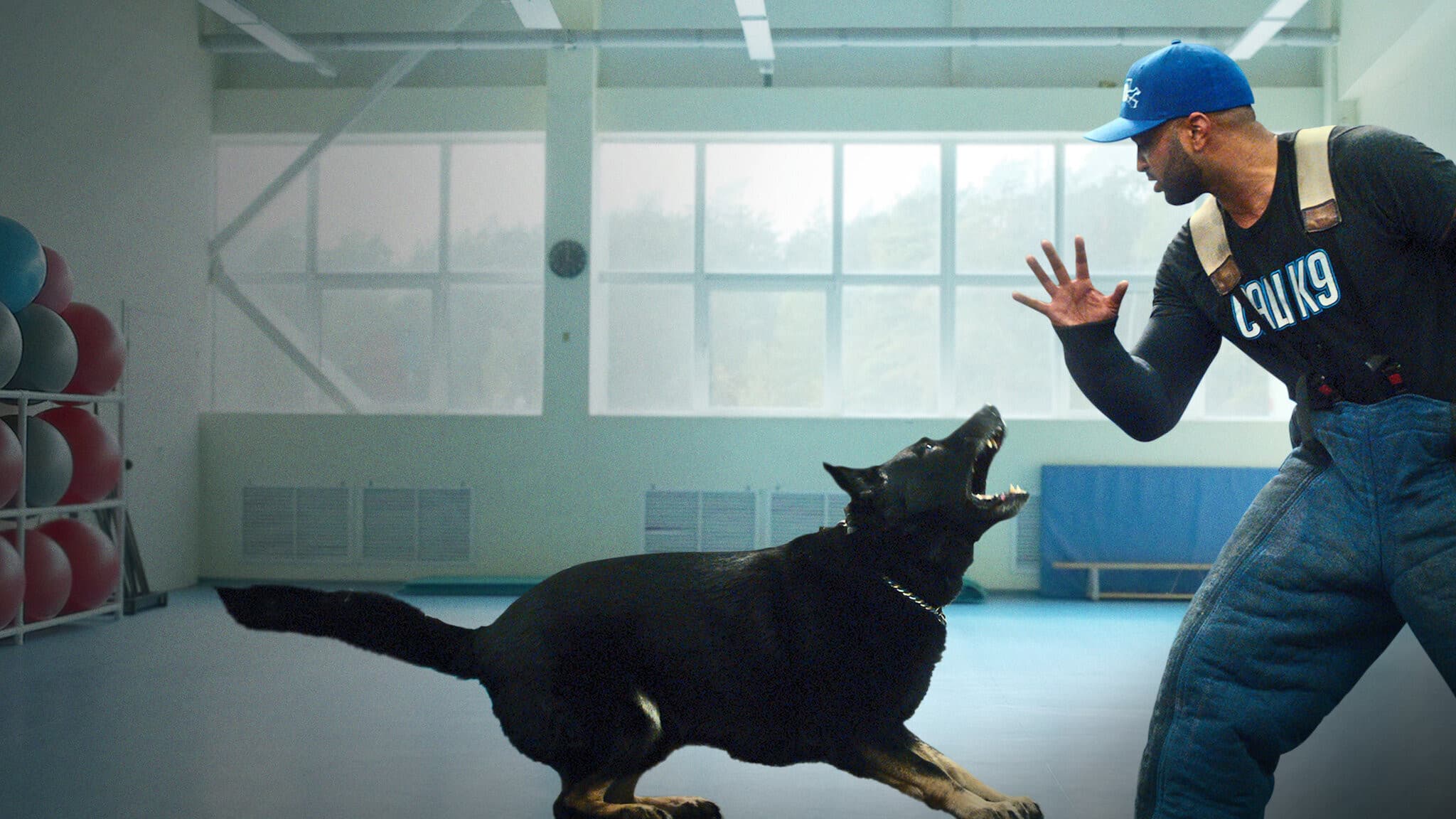 Adiestramiento canino