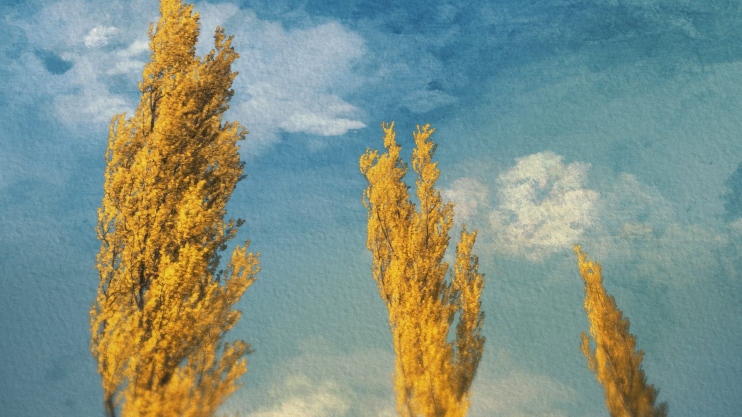 Poplars
