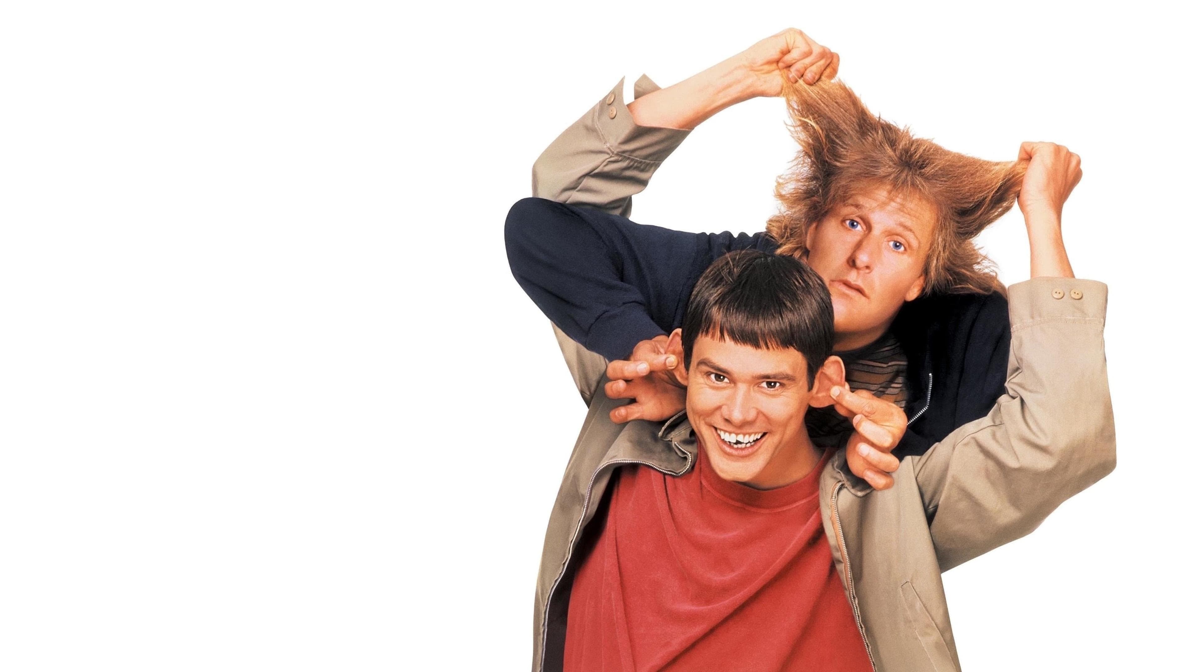 Una pareja de idiotas
