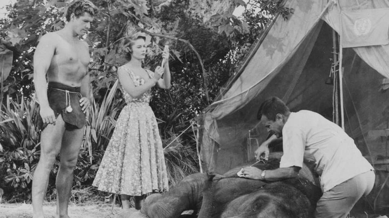 Tarzán en la selva secreta
