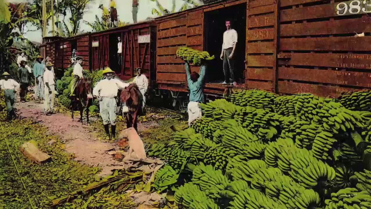 La Loi de la banane