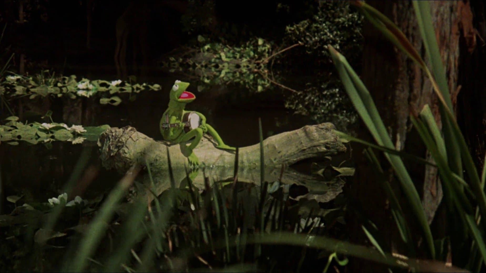 La Película de los Muppets