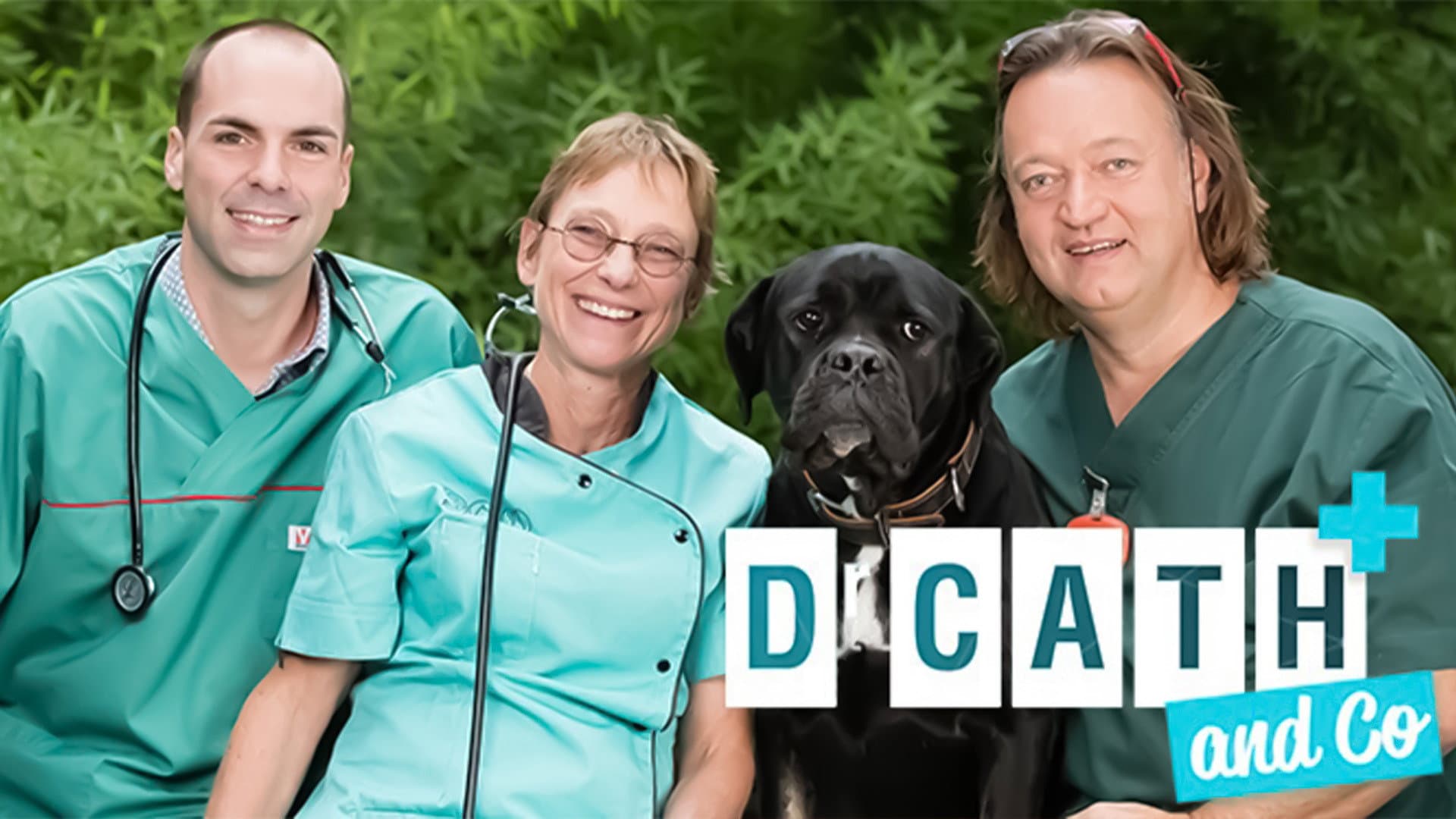 Dr Cath and Co