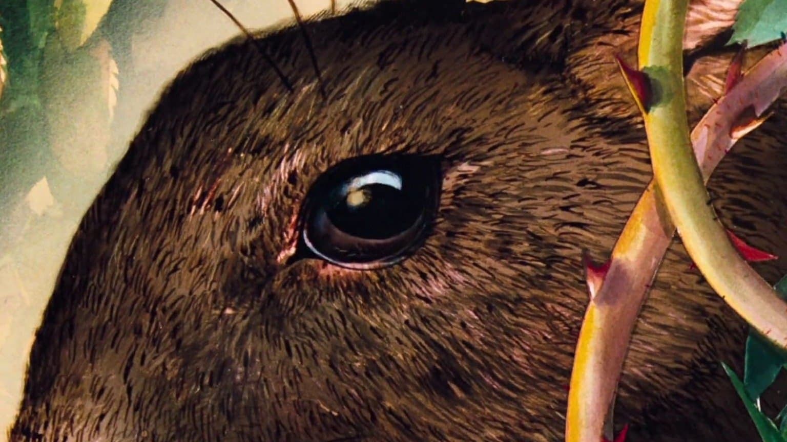 El príncipe de los conejos