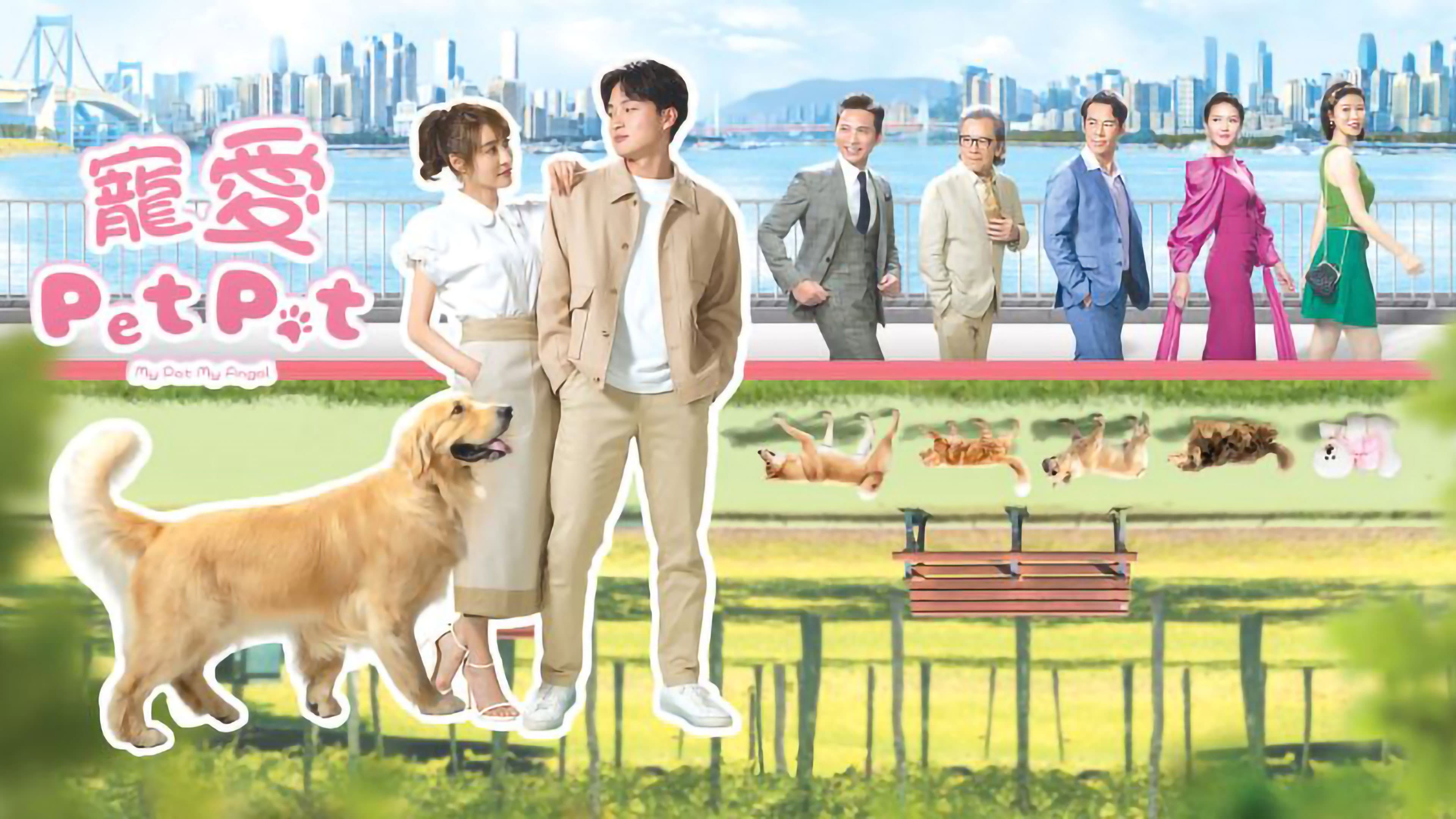 寵愛 Pet Pet