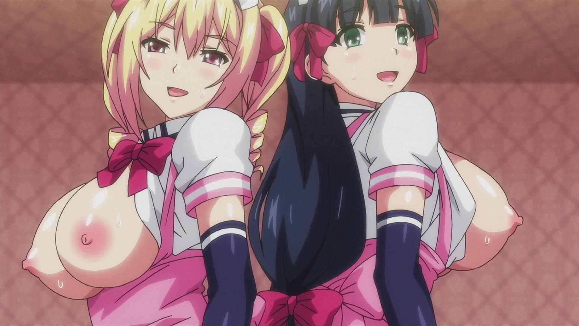 Mayohiga no Onee-san The Animation
