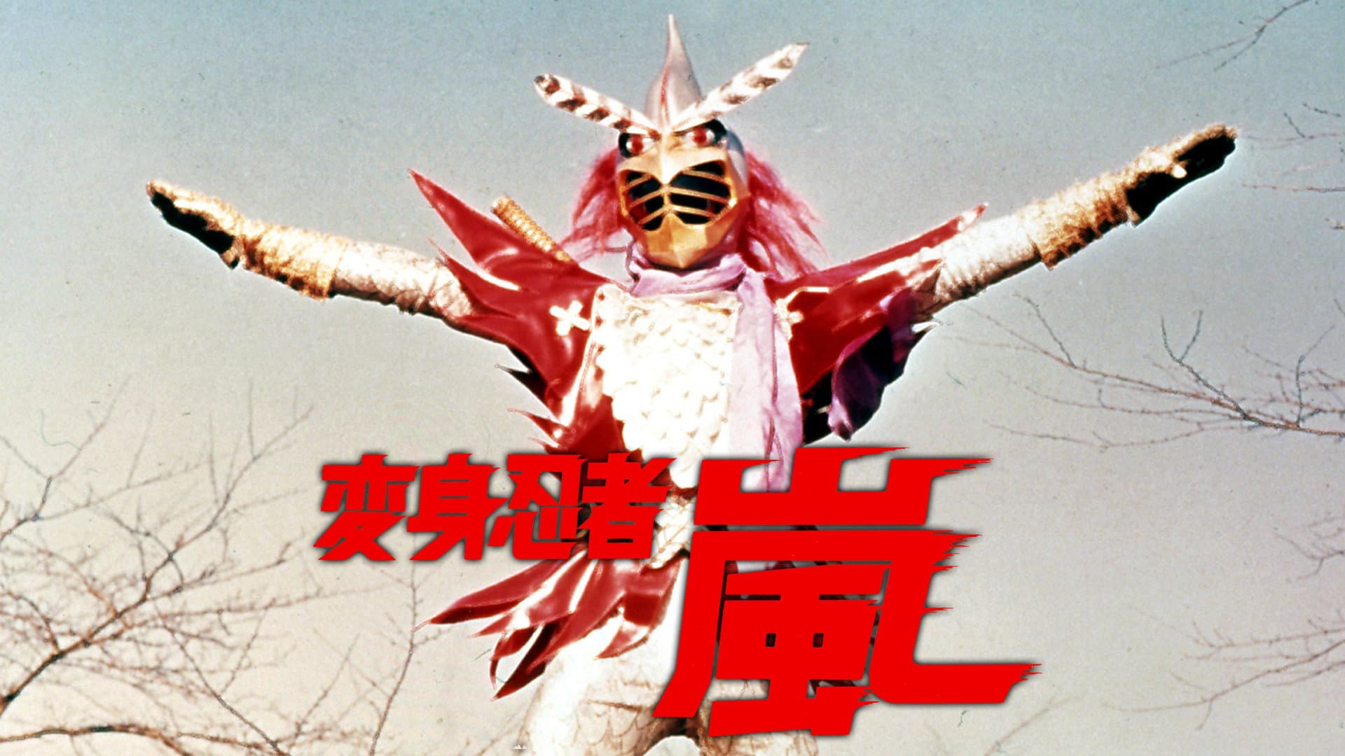 変身忍者 嵐