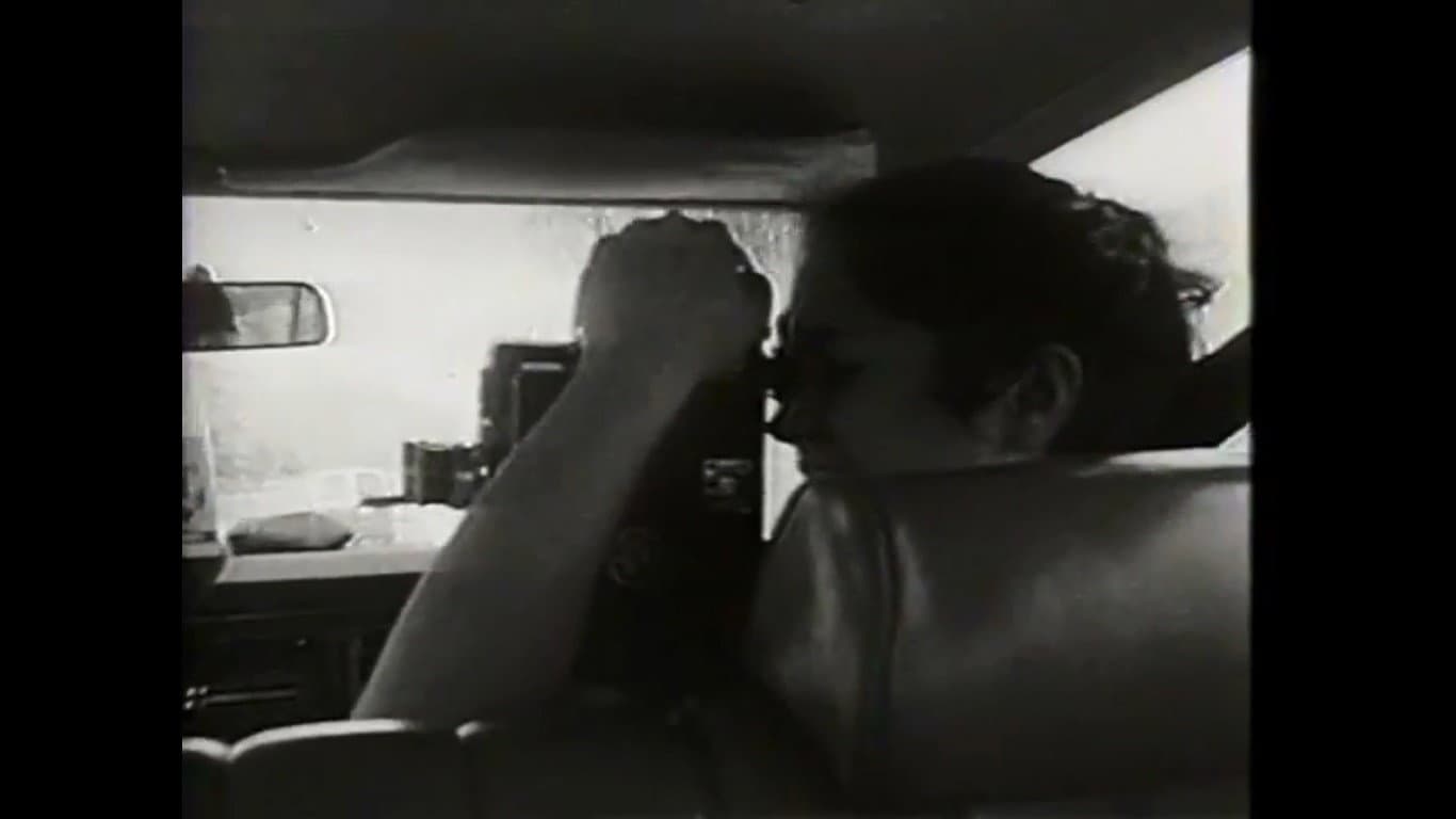 Road Movie or What I Learned in a Buick Station Wagon