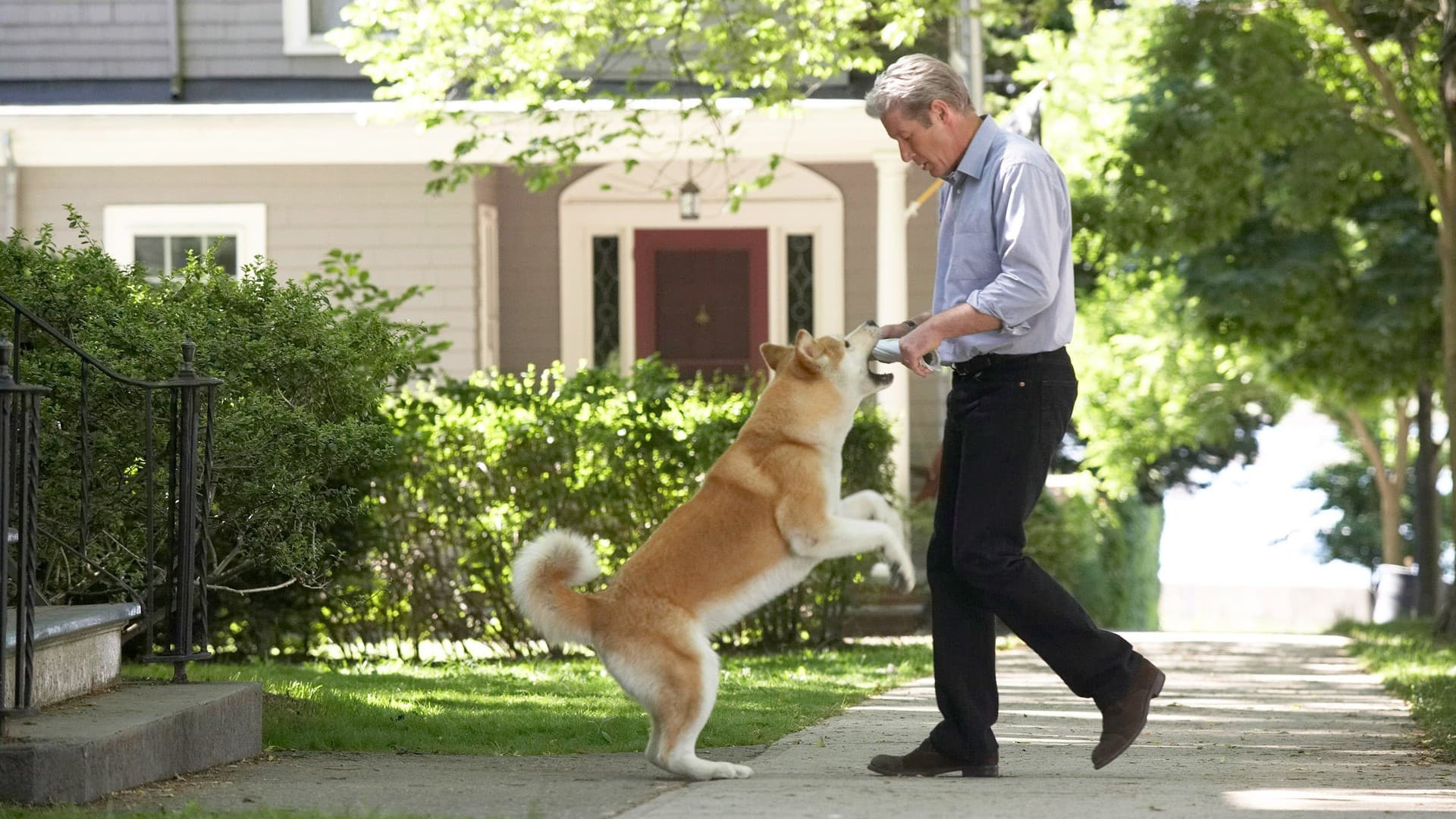 Siempre a tu Lado: Hachiko