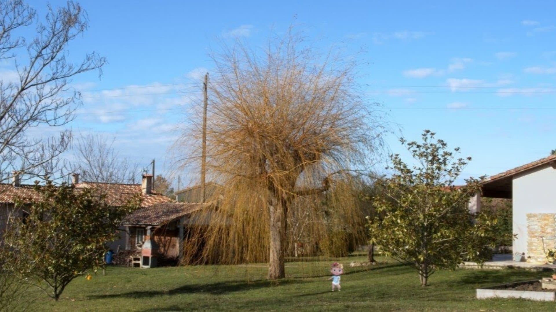 Bébé Colère