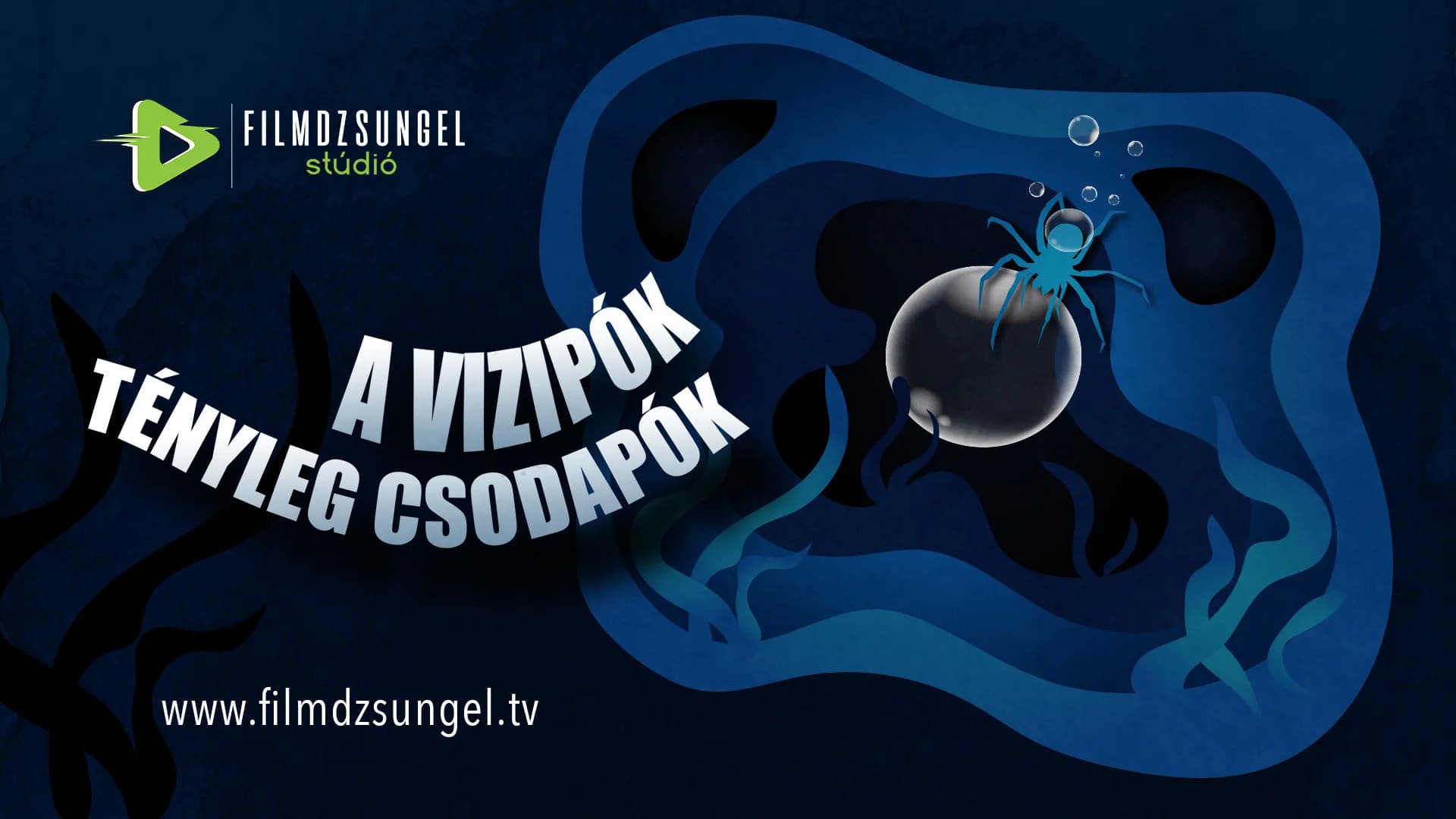 A vízipók tényleg csodapók
