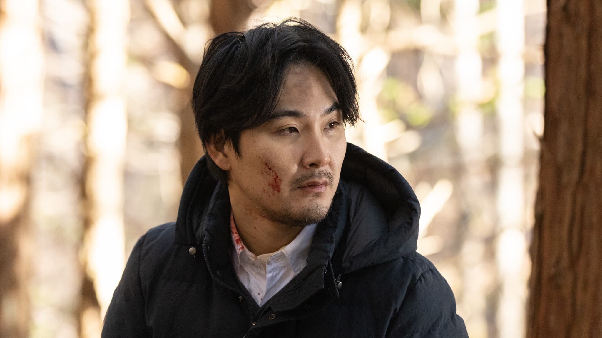 鵜頭川村事件