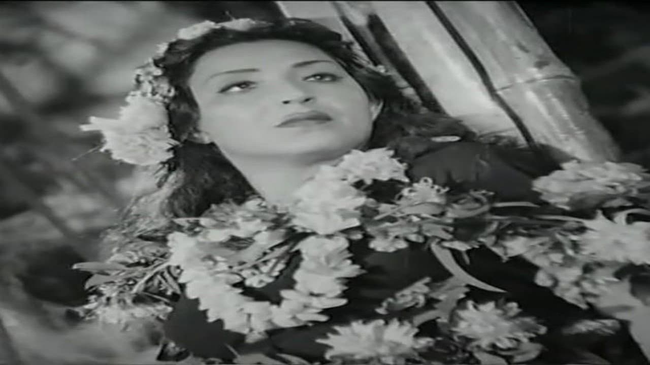 وادي النجوم