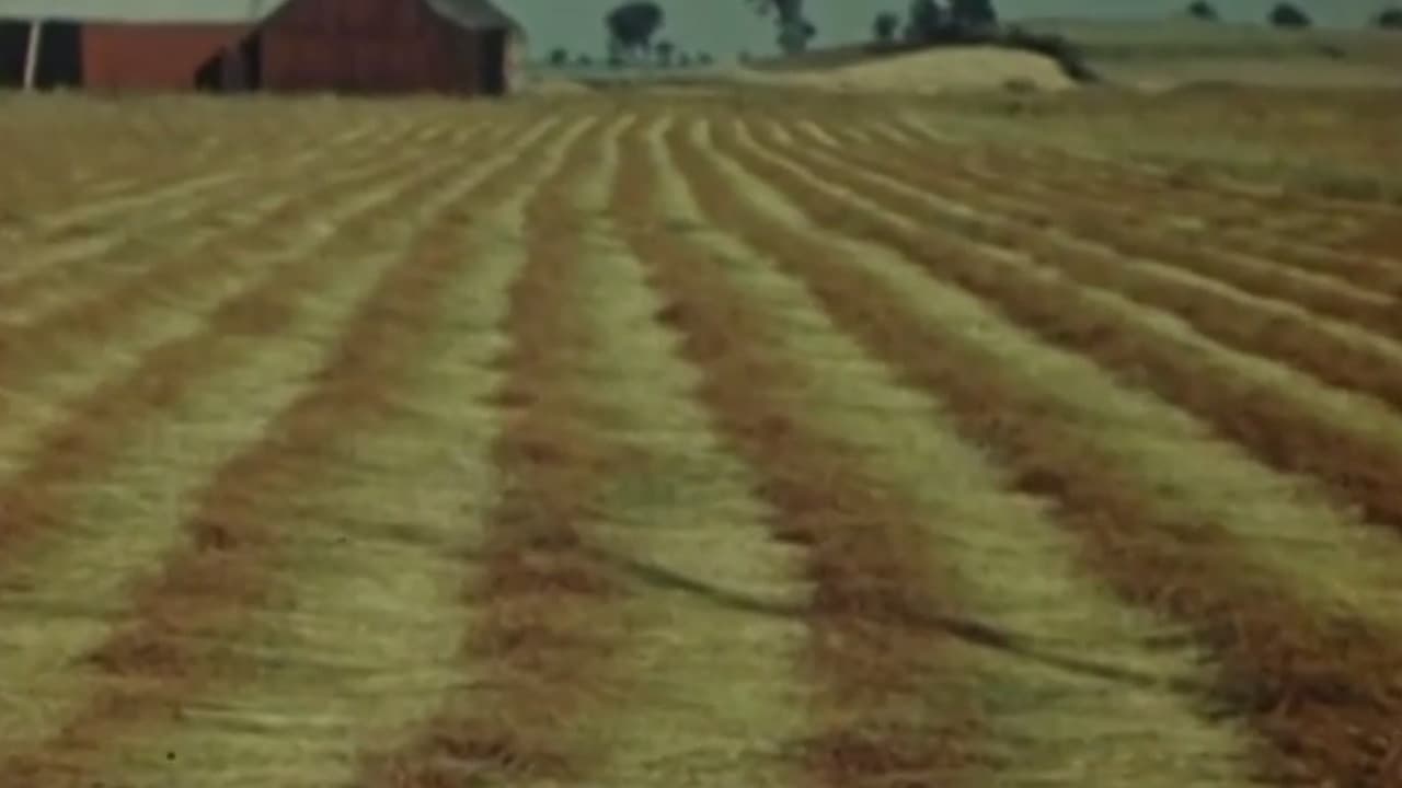 Le lin du Canada - Première partie: La culture du lin